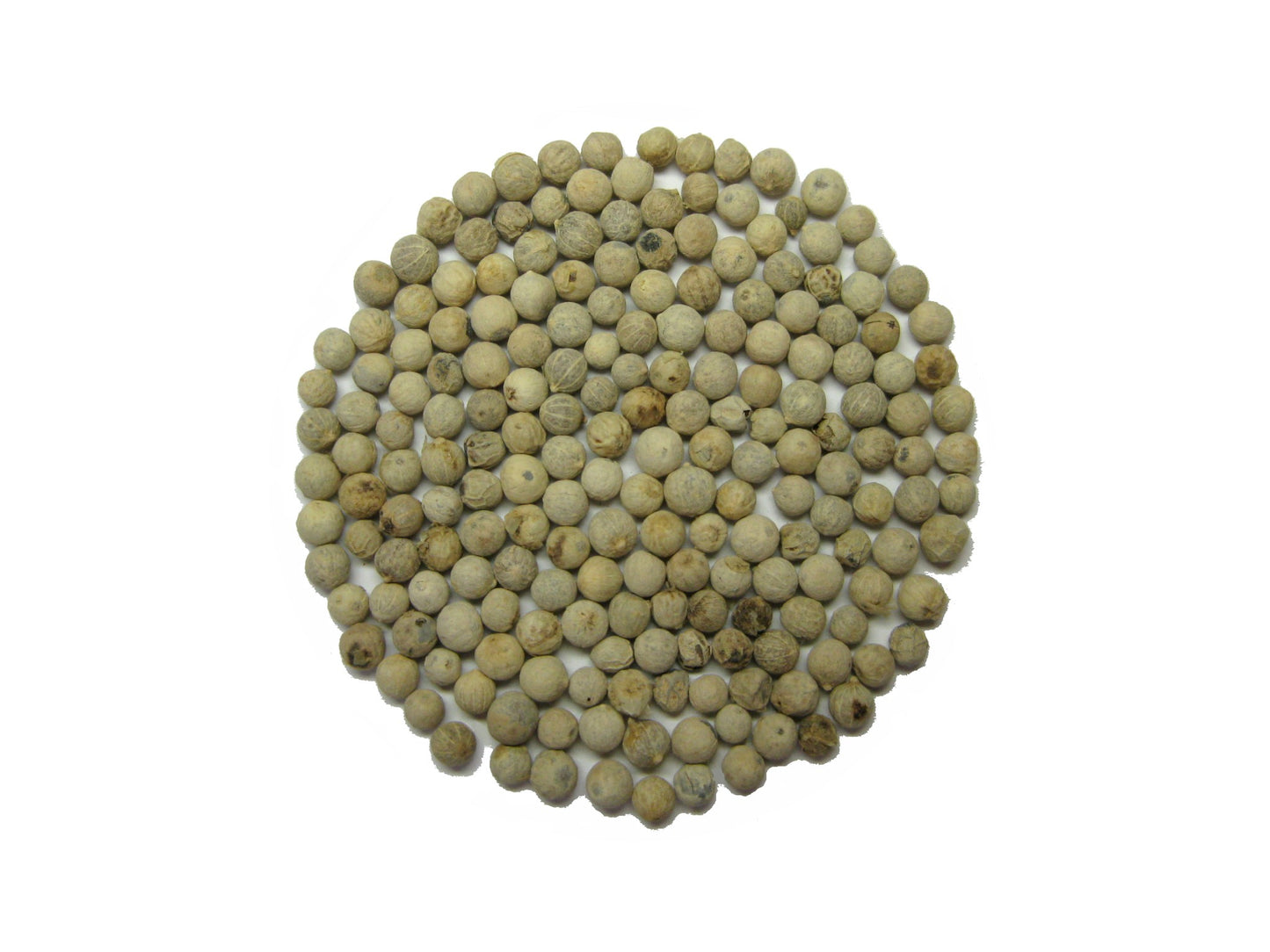 Bijeli papar. 100 gr