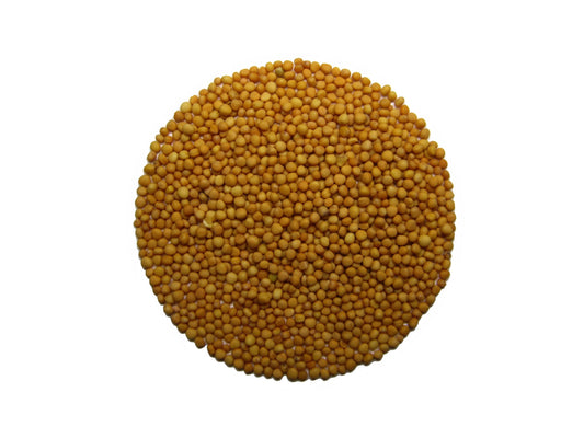 Senf. 100 gr