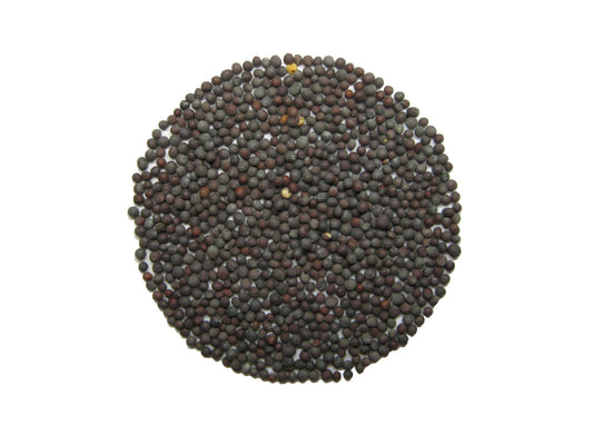 Crna gorušica. 100 gr